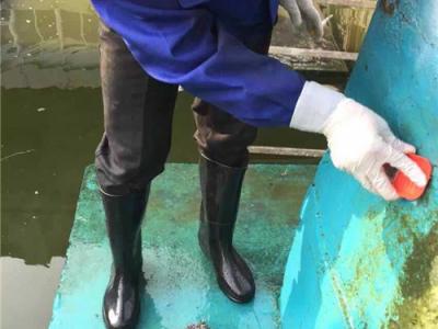 PA视讯游戏防水涂料堪称一流的原因